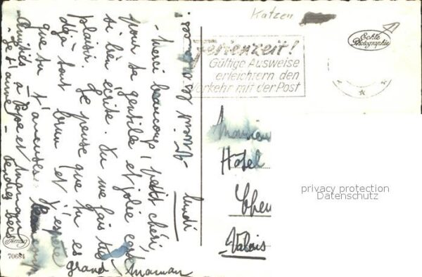 Katzen – Bild 2