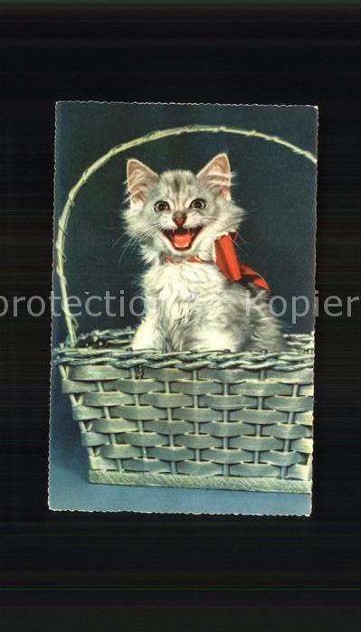 Katzen Korb