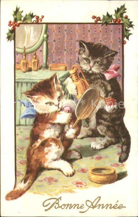 Katzen vermenschlicht Parfüm Spigel Neujahr