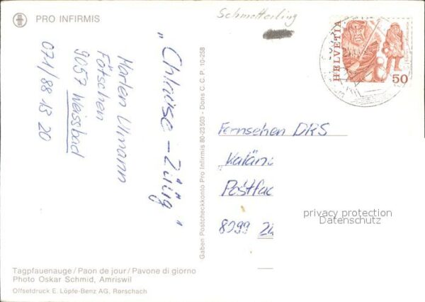 Schmetterlinge Tagpfauenauge – Bild 2