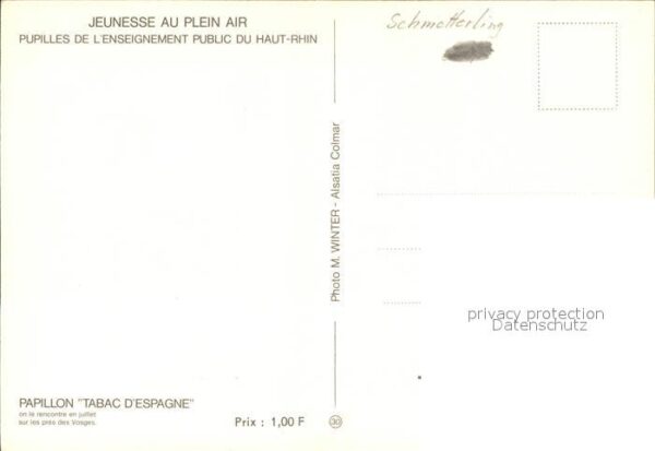 Schmetterlinge Papillon Tabac d_Espagne – Bild 2