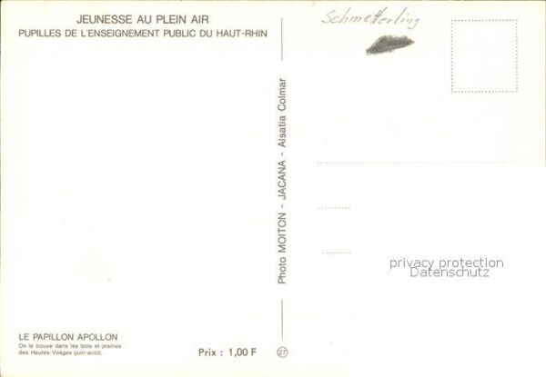 Schmetterlinge Papillon Apollon – Bild 2