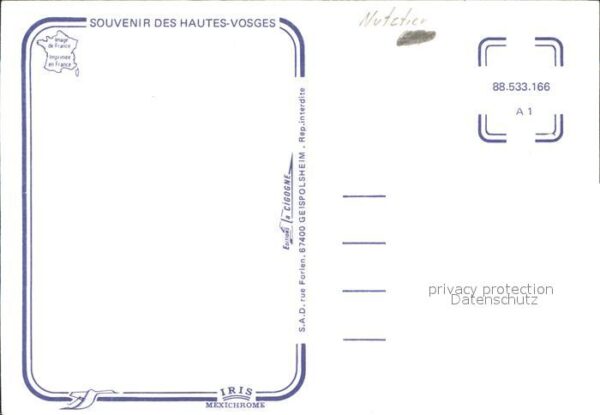 Kuehe Hautes-Vosges – Bild 2
