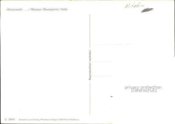 Kuehe – Bild 2
