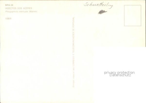 Schmetterlinge Insectos dos Acores – Bild 2