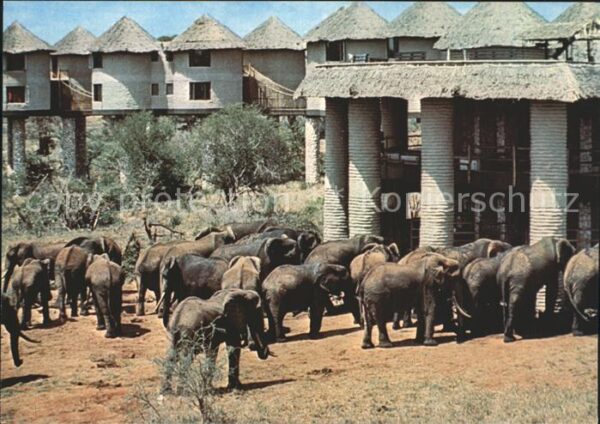 Elefant Underground Rotunda Afrika