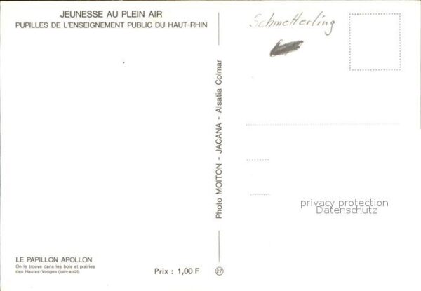 Schmetterlinge Papillon Apollon – Bild 2