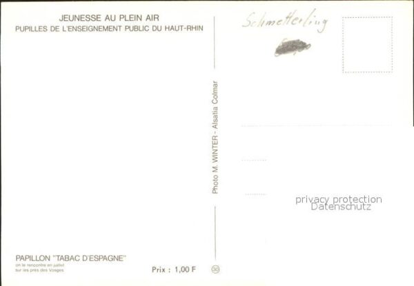 Schmetterlinge Papillon Tabac d_Espagne – Bild 2