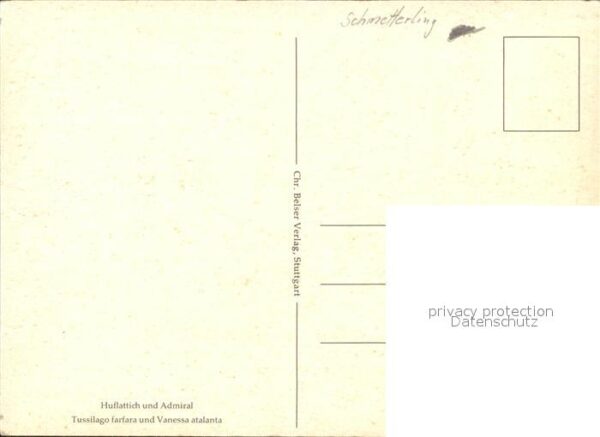 Schmetterlinge Admiral Blume Huflattich Künstlerkarte – Bild 2