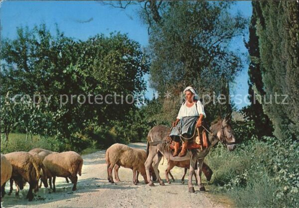 Esel Tiere Schafe Frau Korfu Corfu