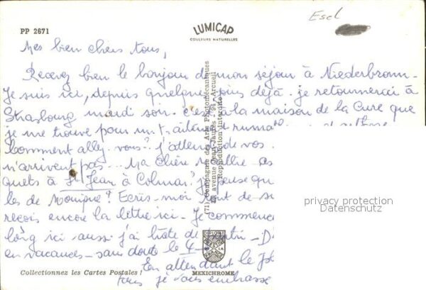 Esel Tiere Iris-Mexichrome – Bild 2