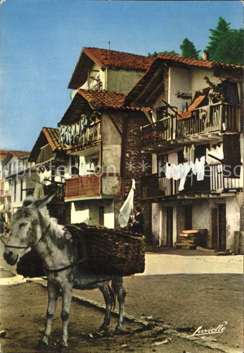 Esel Tiere Pays Basque Espagnol Fontarabie