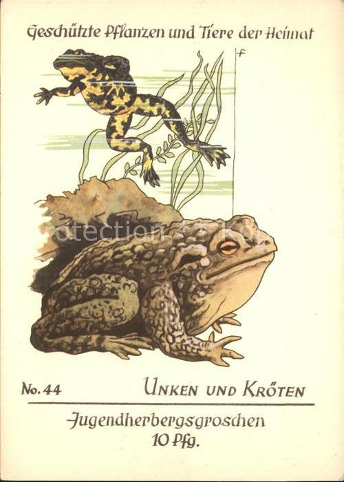 Froesche Unken Kröten