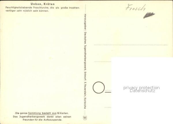 Froesche Unken Kröten – Bild 2
