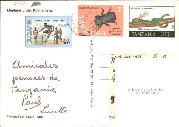 Elefant Kilimanjaro – Bild 2
