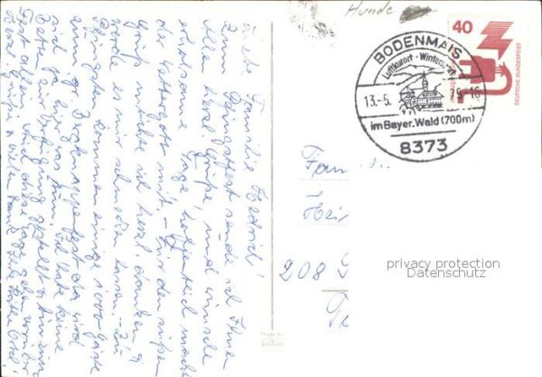 Schaeferhunde – Bild 2