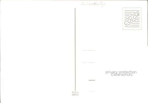 Schmetterlinge – Bild 2