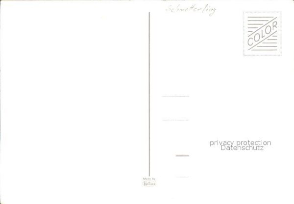 Schmetterlinge – Bild 2