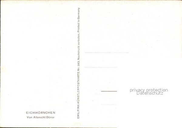 Duerer Albrecht Nuernberg Nr. 343 Eichhörnchen – Bild 2