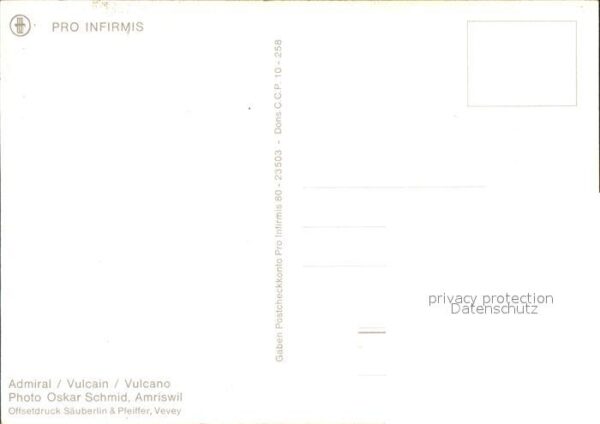 Schmetterlinge Admiral Vulcain Vulcano Blumen – Bild 2