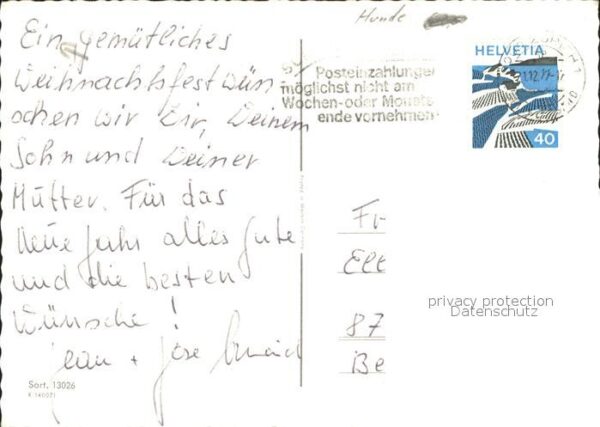 Hunde – Bild 2