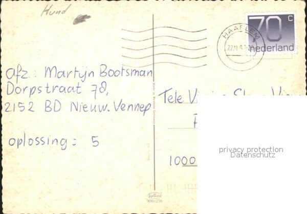 Hunde – Bild 2