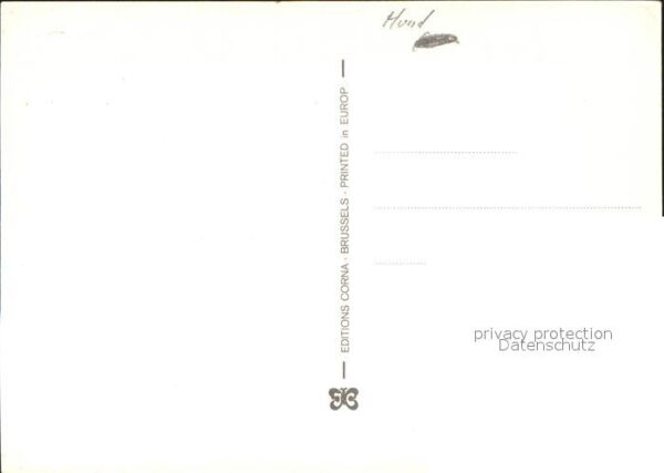 Schaeferhunde – Bild 2