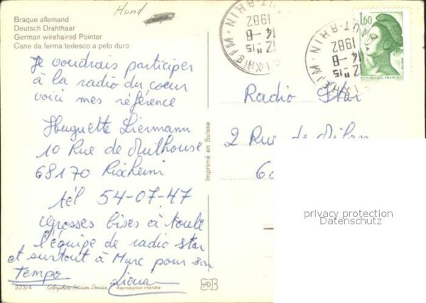 Hunde Deutsch Drahthaar – Bild 2