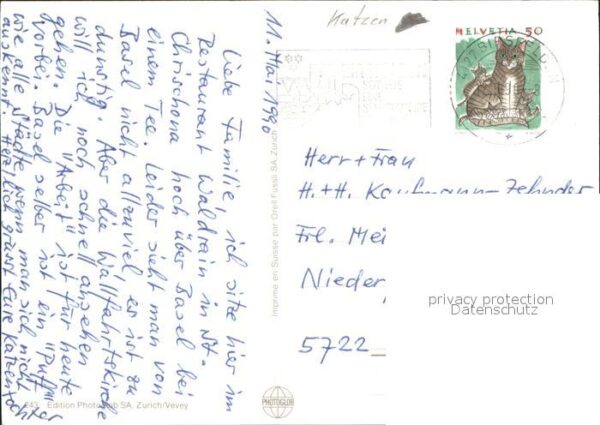 Katzen – Bild 2