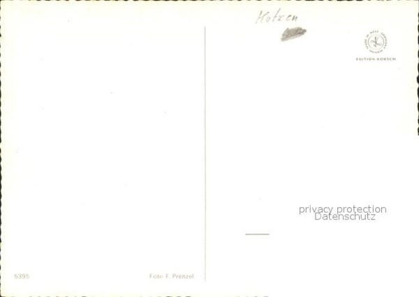 Katzen – Bild 2