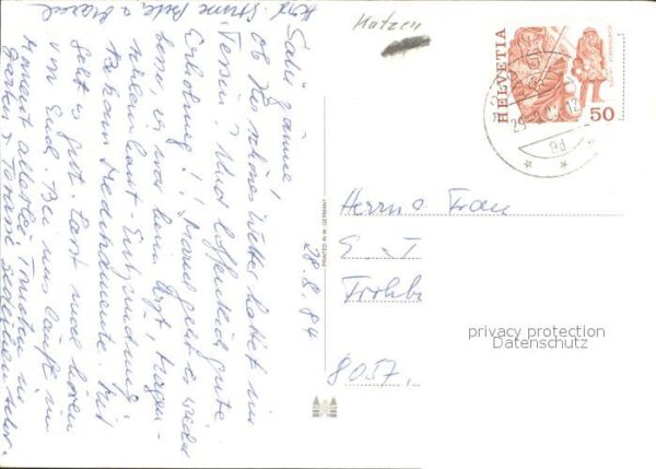Katzen – Bild 2