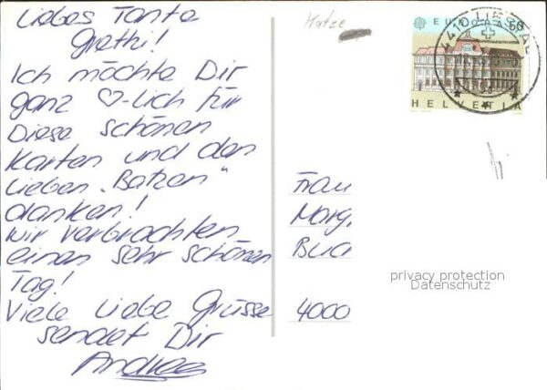 Katzen – Bild 2