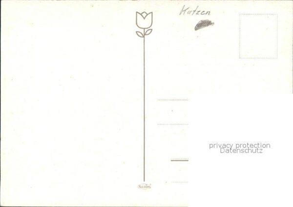 Katzen – Bild 2