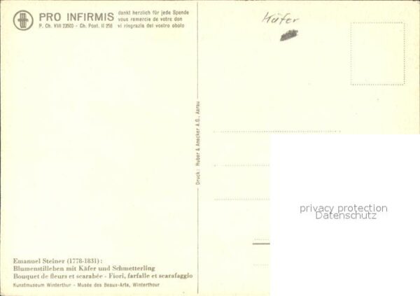Kuenstlerkarte Emanuel Steiner Blumen Käfer Schmetterl – Bild 2