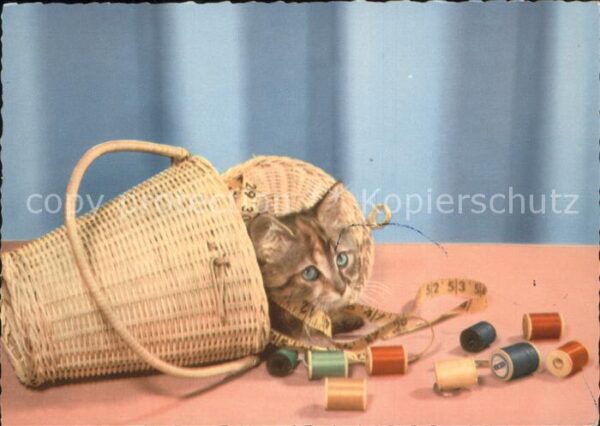 Katzen Fadenrollen Maßband