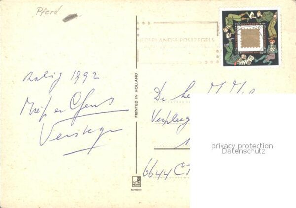 Pferde – Bild 2