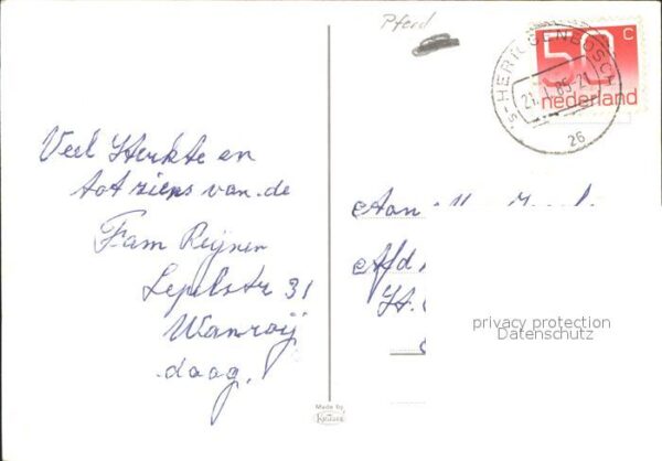 Pferde – Bild 2