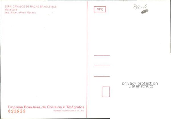 Pferde Marajoara  Alvaro Alves Martins Cavalos – Bild 2