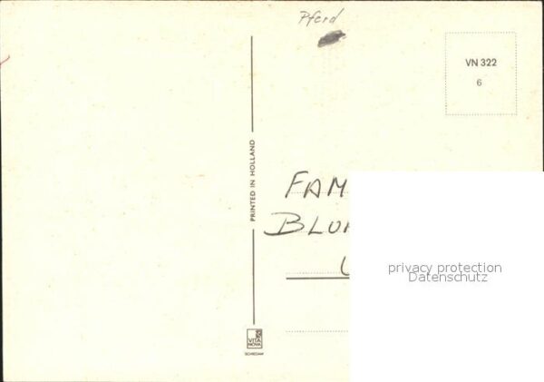 Pferde – Bild 2