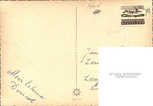 Pferde – Bild 2
