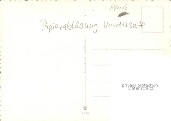 Pferde Pony – Bild 2