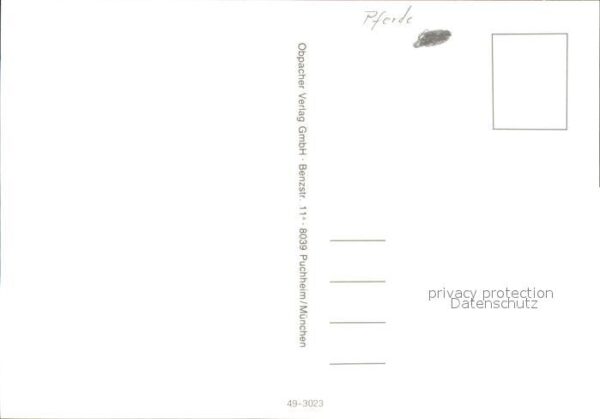 Pferde – Bild 2