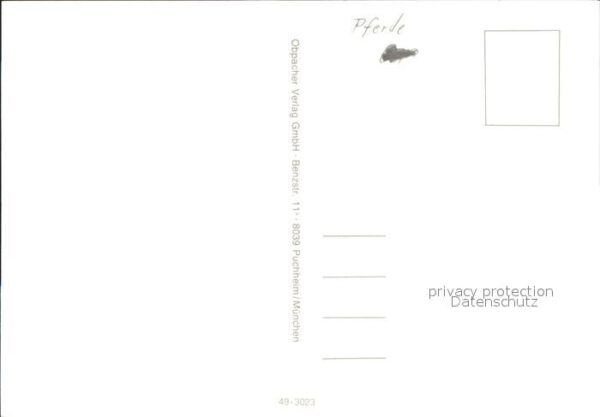 Pferde Pony – Bild 2