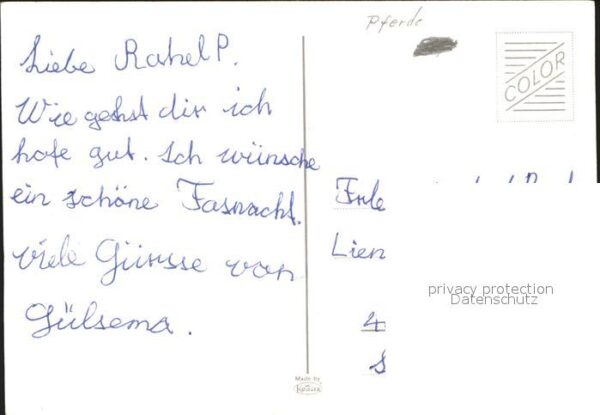 Pferde – Bild 2