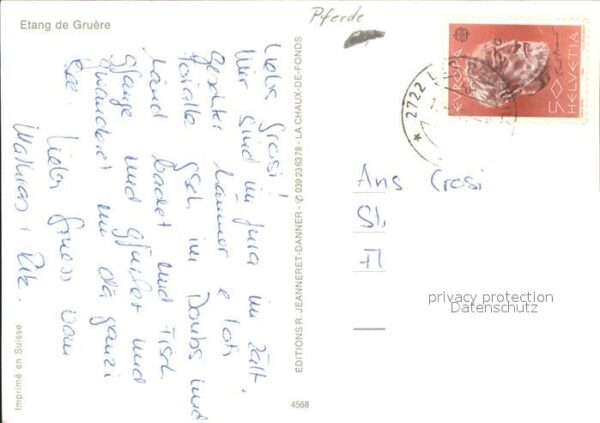 Pferde Etang de Gruere – Bild 2