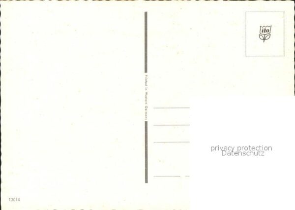 Pferde – Bild 2