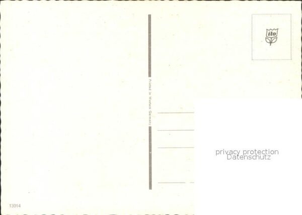 Pferde – Bild 2
