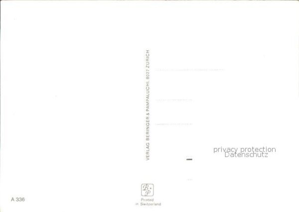 Pferde – Bild 2
