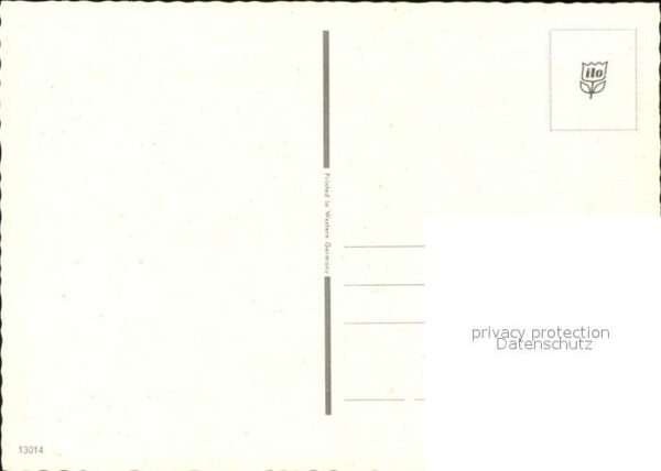 Pferde – Bild 2