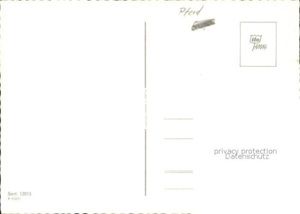 Pferde – Bild 2